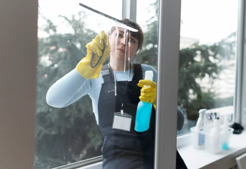 Nettoyage de vitres intérieures et extérieures à Puyravault